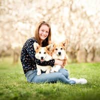 Photo de profil du pet sitter : Lindsy W.