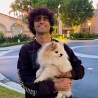 Sitter Profile Image: Sahba A.