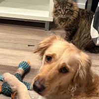 Sitter Profile Image: Yeisa P.