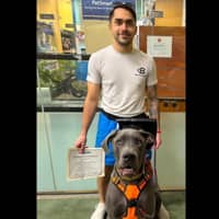 Sitter Profile Image: Austin H.