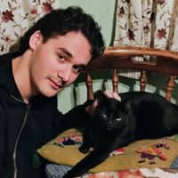 Sitter Profile Image: Alessandro M.