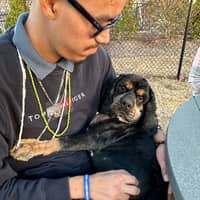 Sitter Profile Image: Jason V.