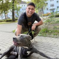 Sitterprofilbild: David R.