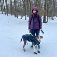 Photo de profil du pet sitter : Faustine M.