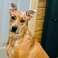 Sitter Profile Image: Dara W.