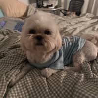 Sitter Profile Image: kellen w.