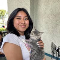 Sitter Profile Image: Suan D.