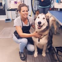 Sitter Profile Image: Amber L.