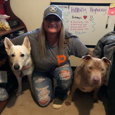 happy valley boarding kennels