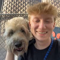 Sitter Profile Image: Shelby D.