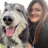 Immagine del profilo del sitter: Giuliana M.