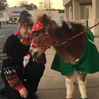 Sitter Profile Image: Cheryl M.