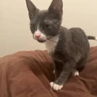 Sitter Profile Image: Keith L.