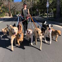 Sitter Profile Image: Taylor L.