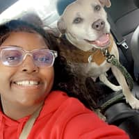 Sitter Profile Image: Desinee P.