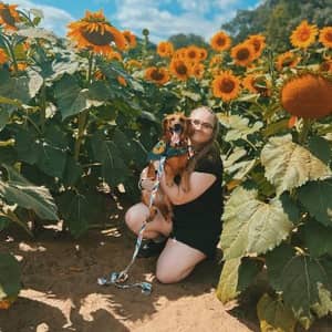 Sitter Profile Image: Stephanie F.