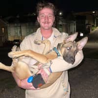 Sitter Profile Image: Sean B.