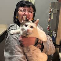 Sitter Profile Image: Coralyn R.