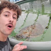 Photo de profil du pet sitter : Alan G.