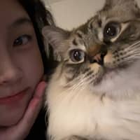 Sitter Profile Image: Songming L.