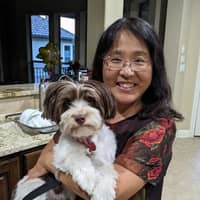 Sitter Profile Image: Yanhong W.