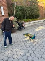 Sitter Profile Image: Sammy H.