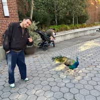 Sitter Profile Image: Sammy H.