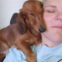 Sitter Profile Image: Andrea & Bernal I.