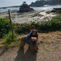 Photo de profil du pet sitter : Katy P.