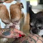 Sitter Profile Image: Jillian H.