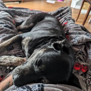 Sitter Profile Image: Tanner B.