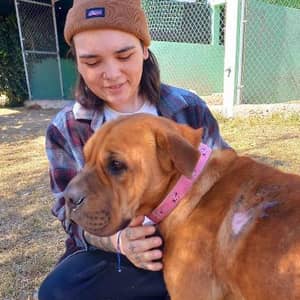 Sitter Profile Image: Jacklyn L.