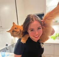 Passarens profilbild: Linn E.