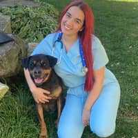 Sitter Profile Image: Nasim J.