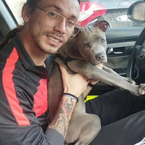 Sitter Profile Image: Joan Lluis T.