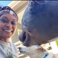 Sitter Profile Image: Delilah M.