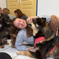 Photo de profil du pet sitter : Maeli M.