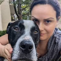 Sitter Profile Image: Diane L.