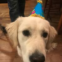 Sitter Profile Image: Allison S.