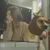 Sitter Profile Image: Tula B.