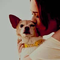 Sitter Profile Image: Elysia B.