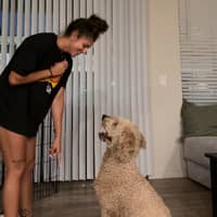 Sitter Profile Image: Spirit P.