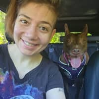 Sitter Profile Image: Codi P.