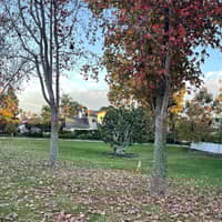 Sitter Profile Image: Yaniv L.