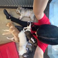 Sitter Profile Image: Kenzie T.