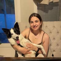 Profilbilde av hundepasser: Susann S.