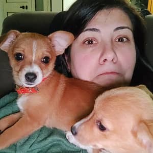 Sitter Profile Image: antonietta c.