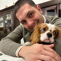 Immagine del profilo del sitter: Francesco M.