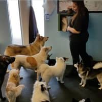 Sitter Profile Image: Savannah M.