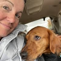 Sitter Profile Image: Katja W.